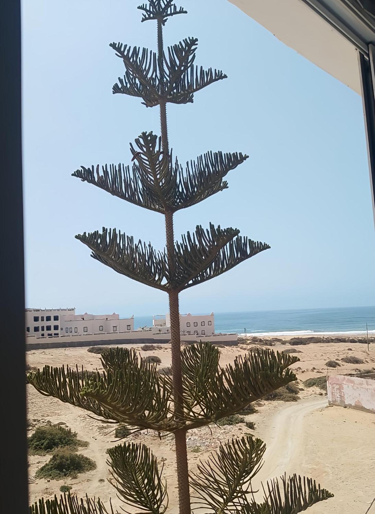 Tildi Surf House Hotel Imsouane Buitenkant foto